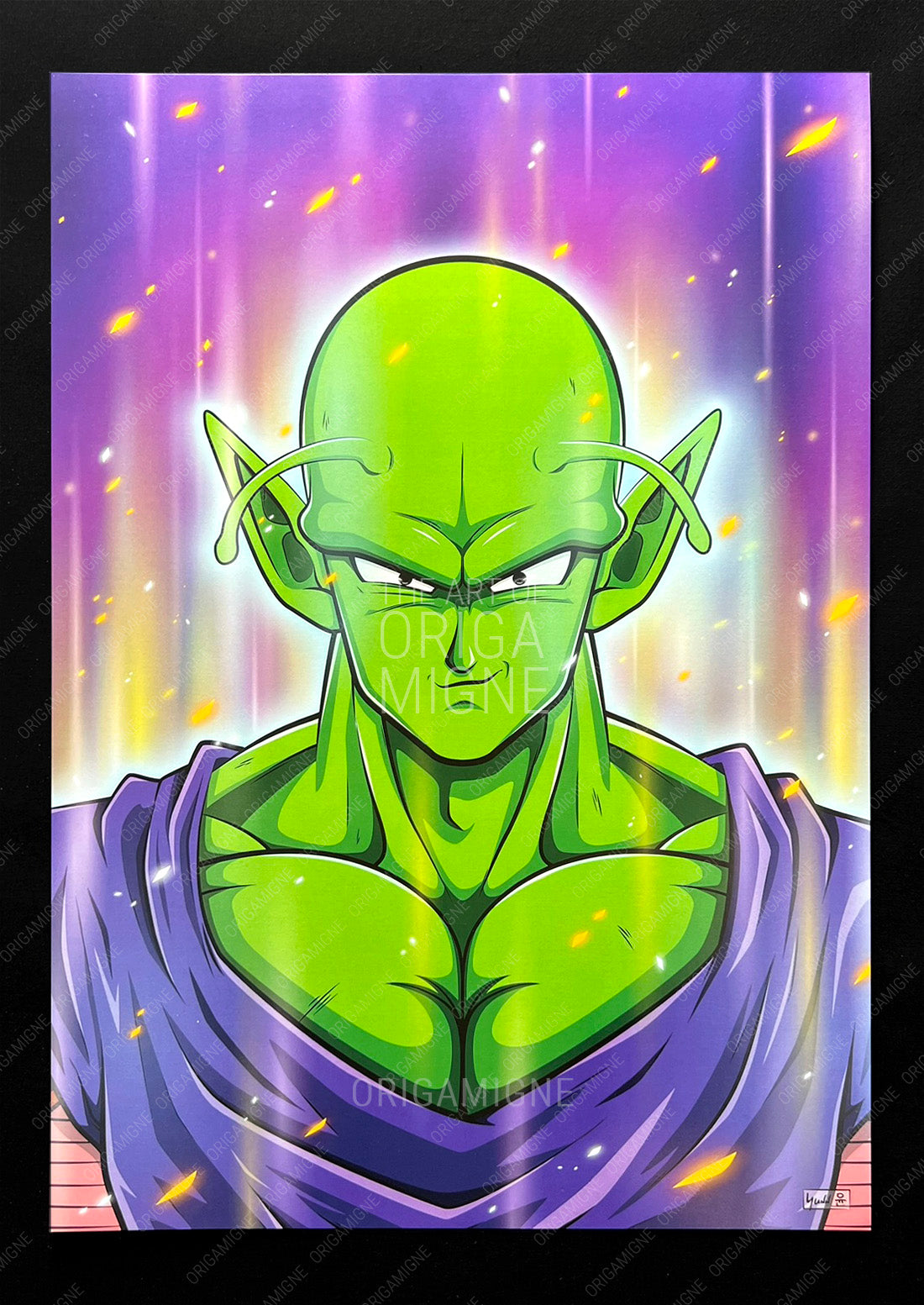 Namekian Warrior